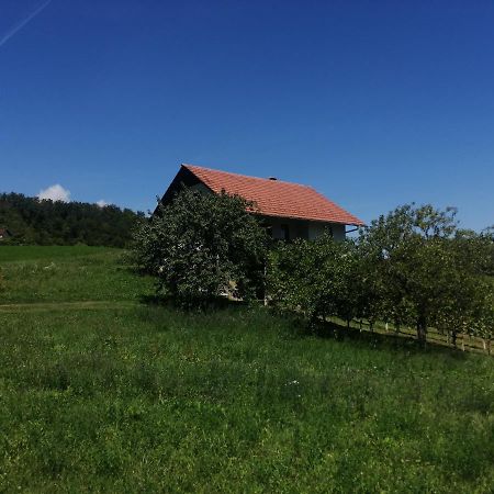 Apartma Gorca Plevnik Buce Exterior foto