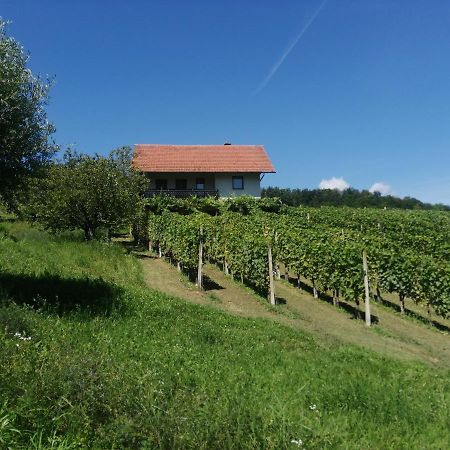 Apartma Gorca Plevnik Buce Exterior foto