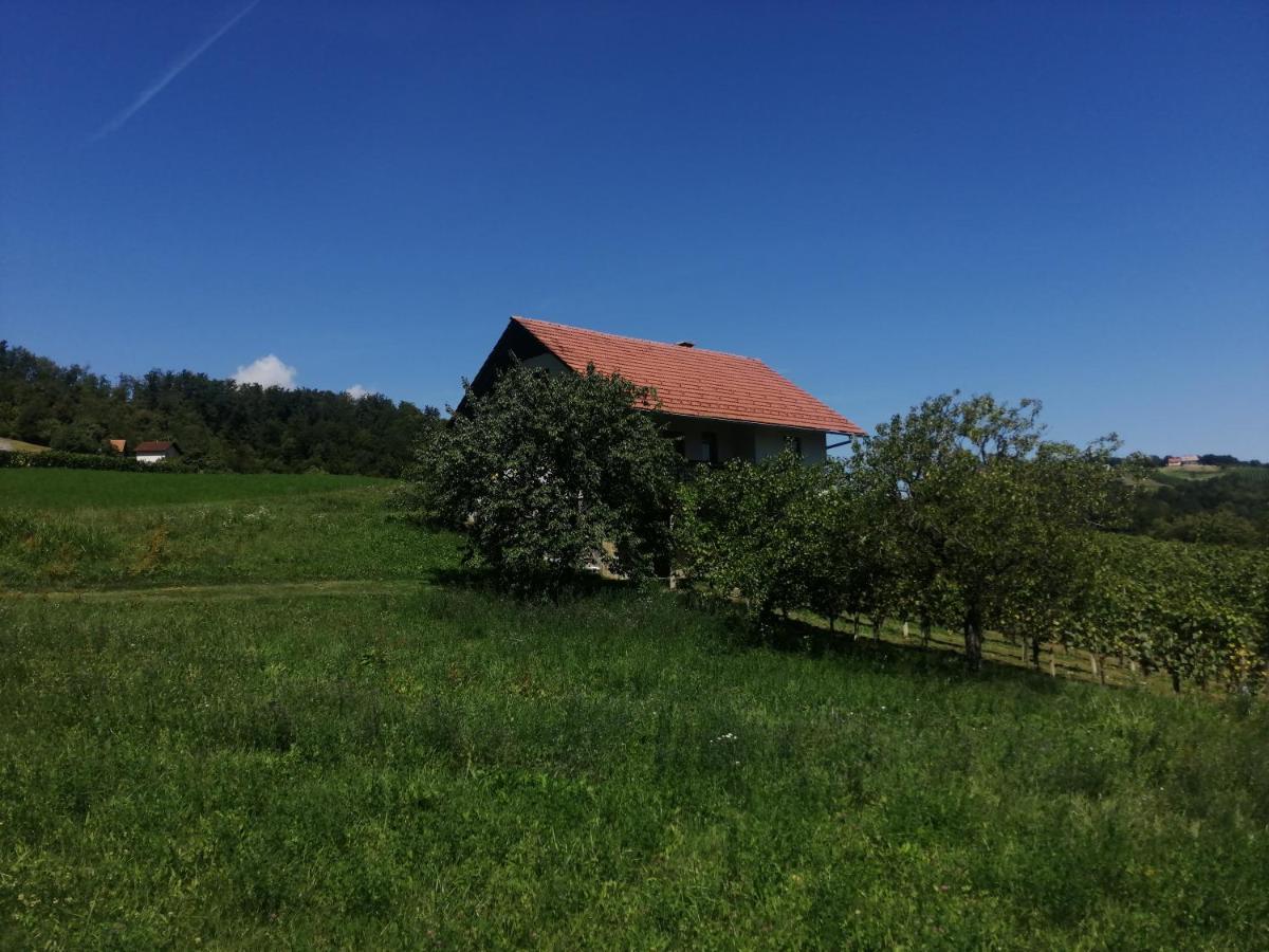 Apartma Gorca Plevnik Buce Exterior foto