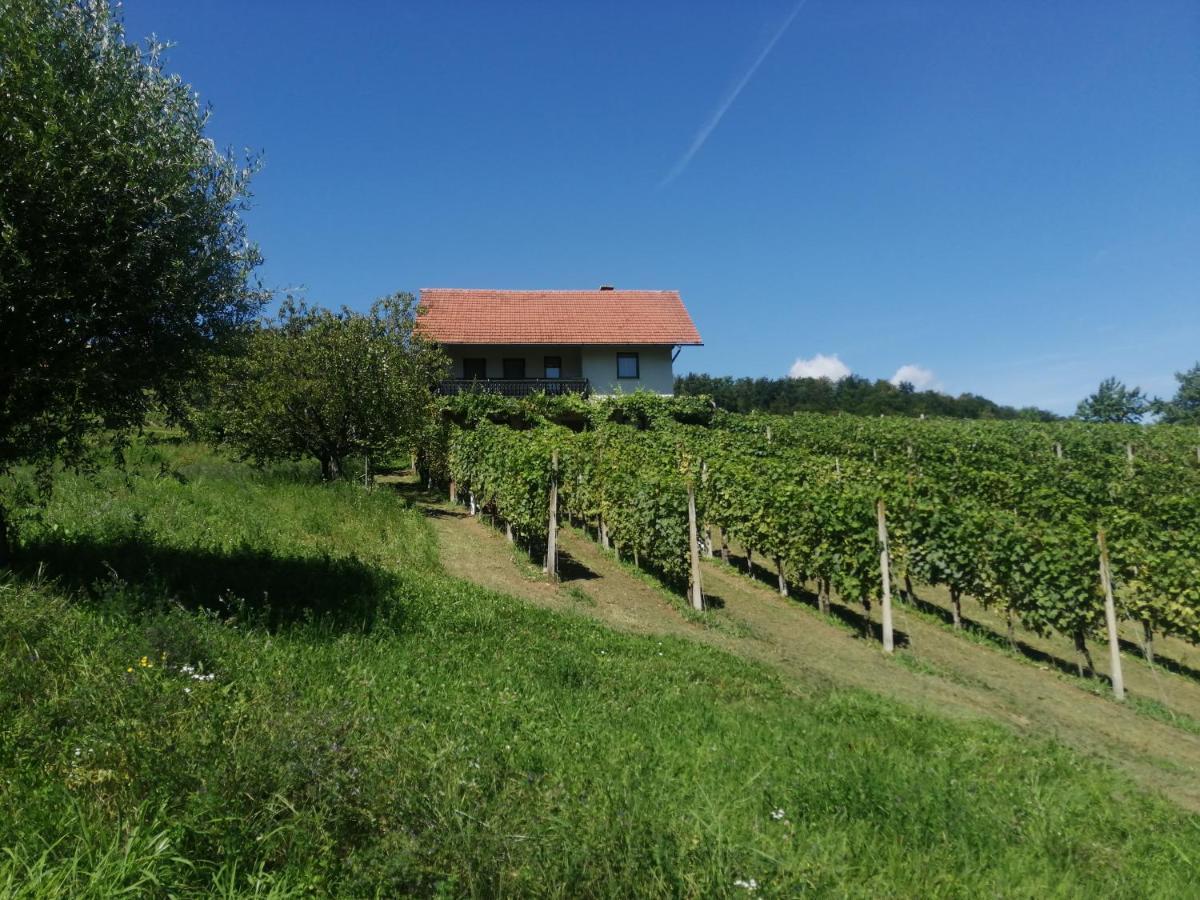 Apartma Gorca Plevnik Buce Exterior foto