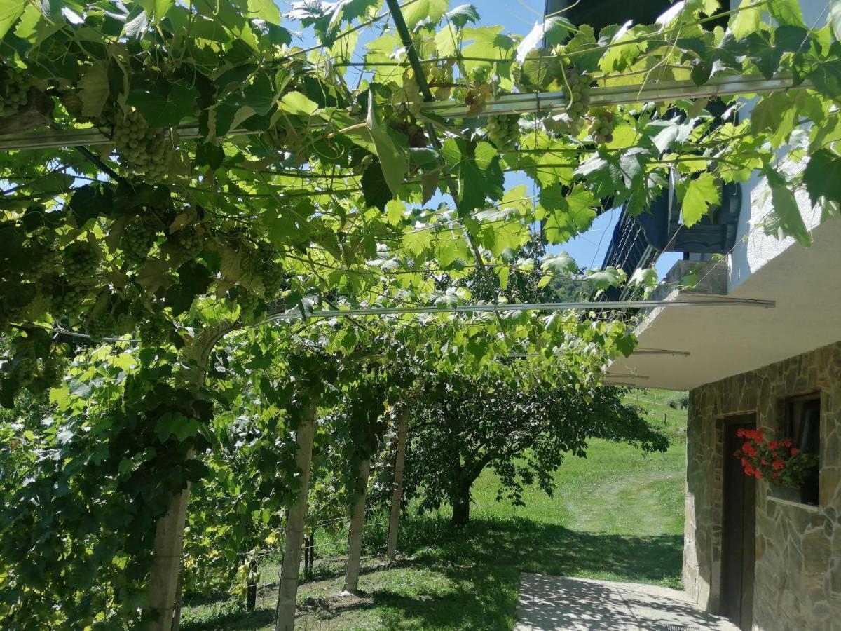 Apartma Gorca Plevnik Buce Exterior foto