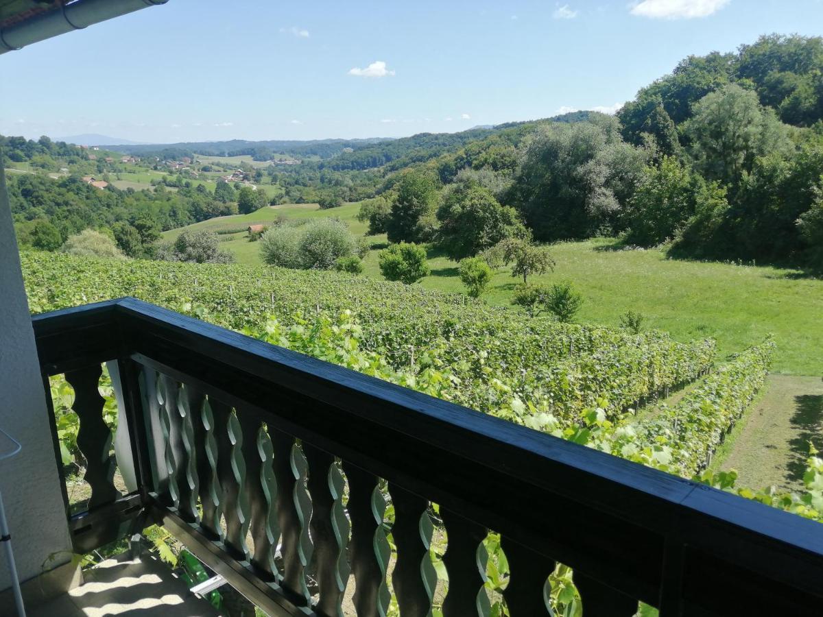 Apartma Gorca Plevnik Buce Exterior foto