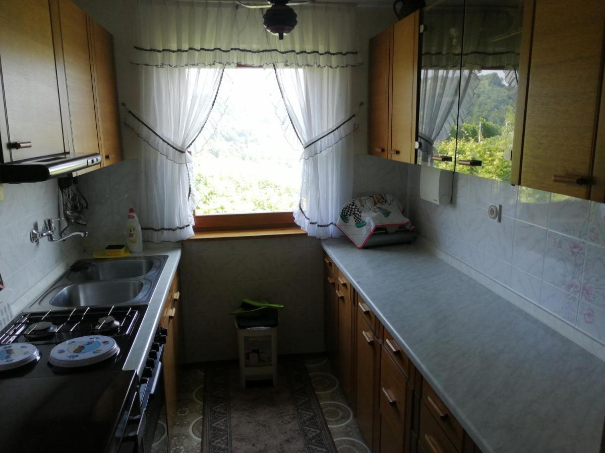 Apartma Gorca Plevnik Buce Exterior foto