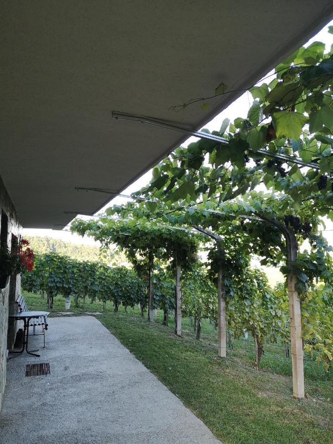 Apartma Gorca Plevnik Buce Exterior foto