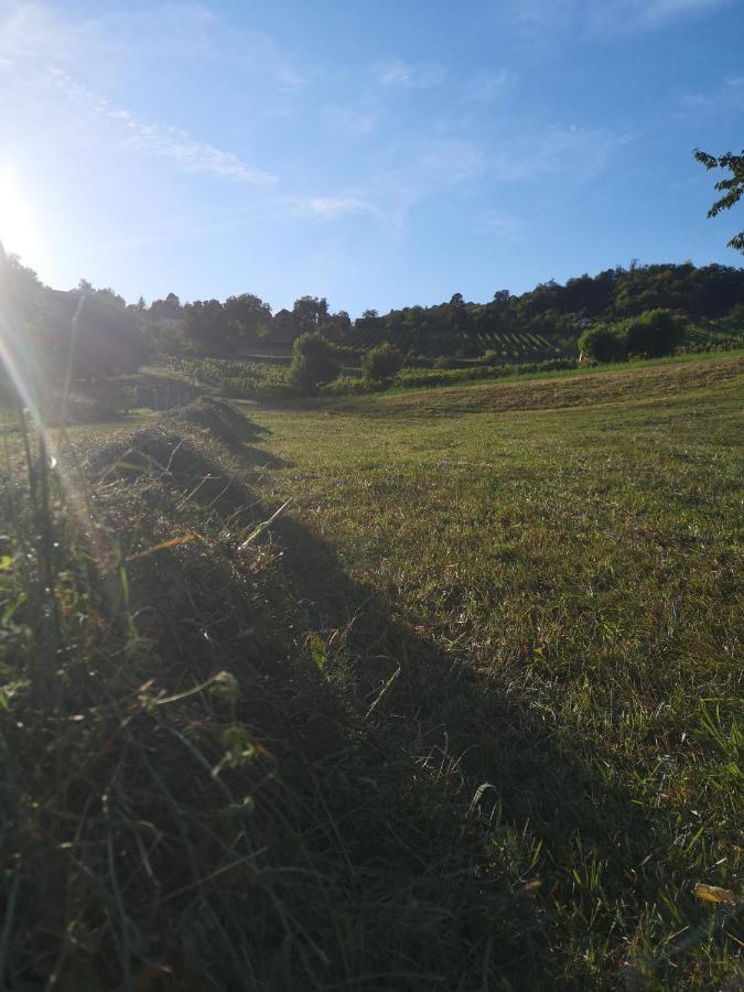 Apartma Gorca Plevnik Buce Exterior foto